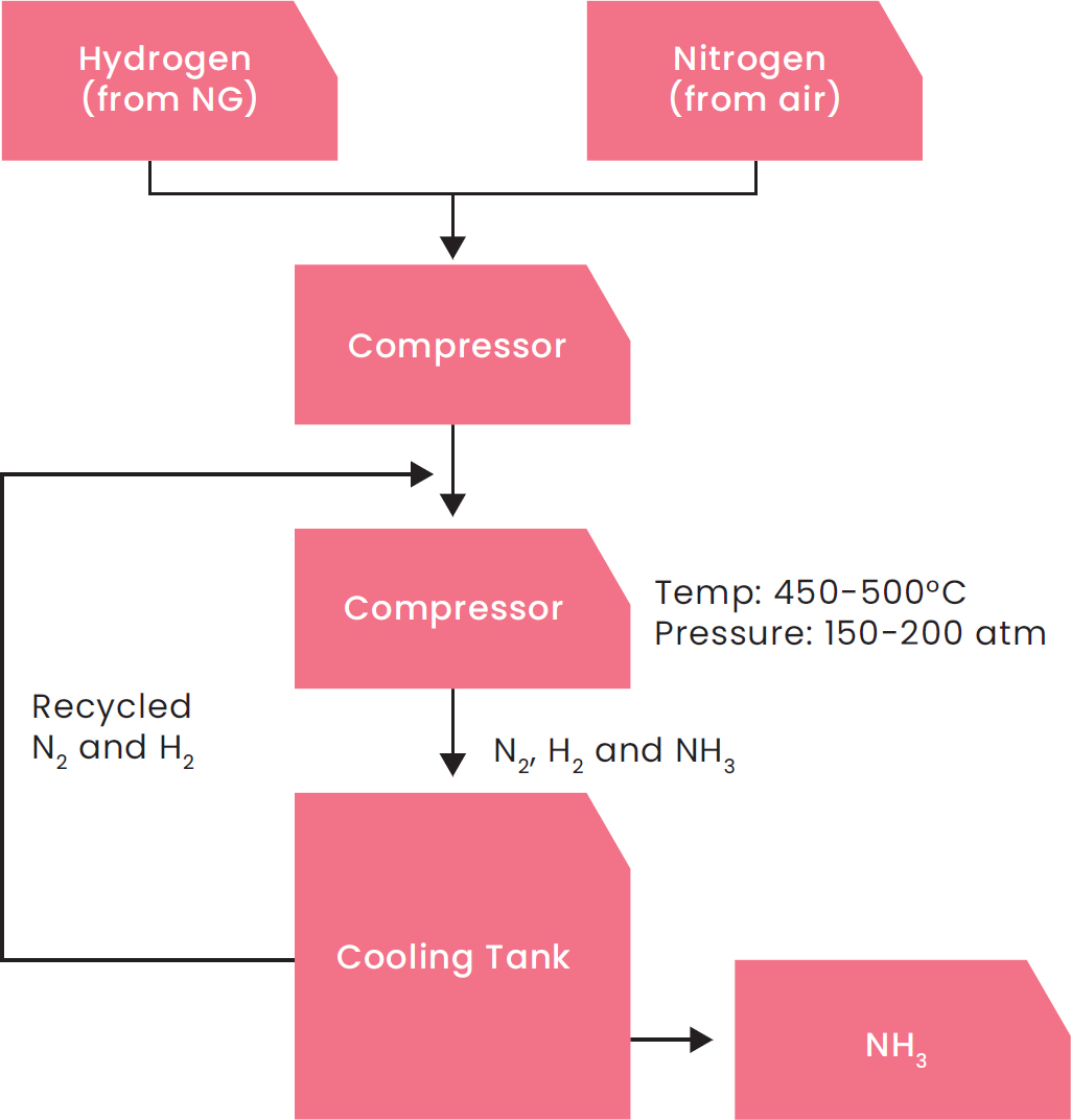 Haber Bosch Process To Synthesize Ammonia Simplified
