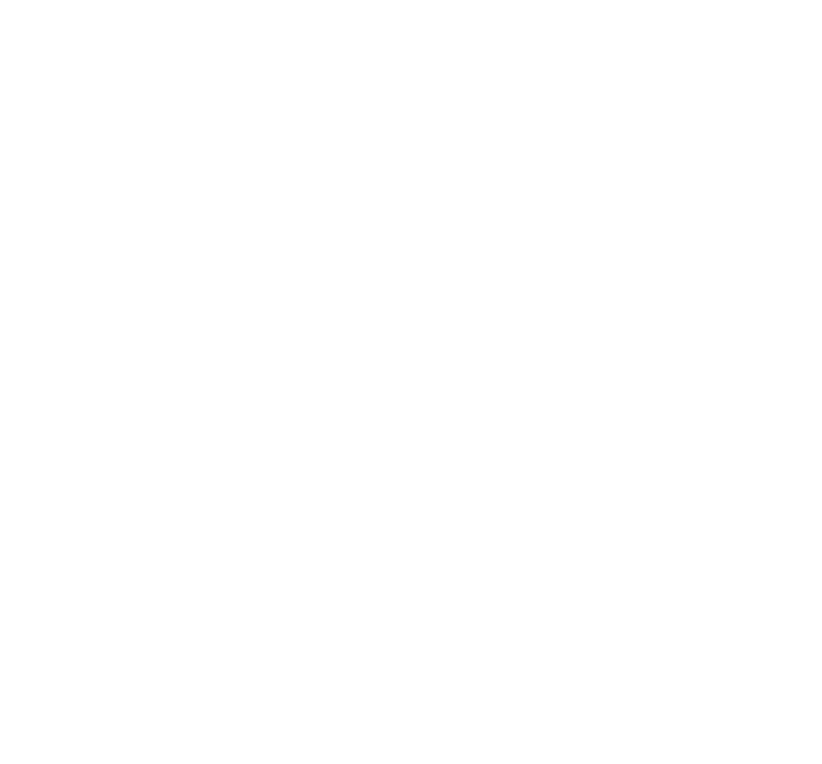 FIBS logo