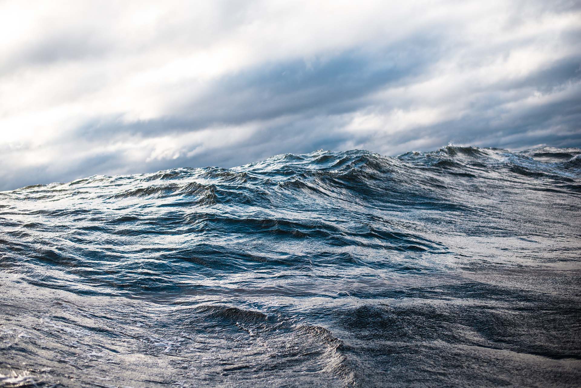 Elomatic Grid Optimizing ship performance: Three ways Elogrid can help you smooth the ...