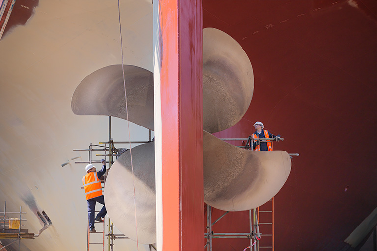 Ensuring safety in ship design beyond existing rules: