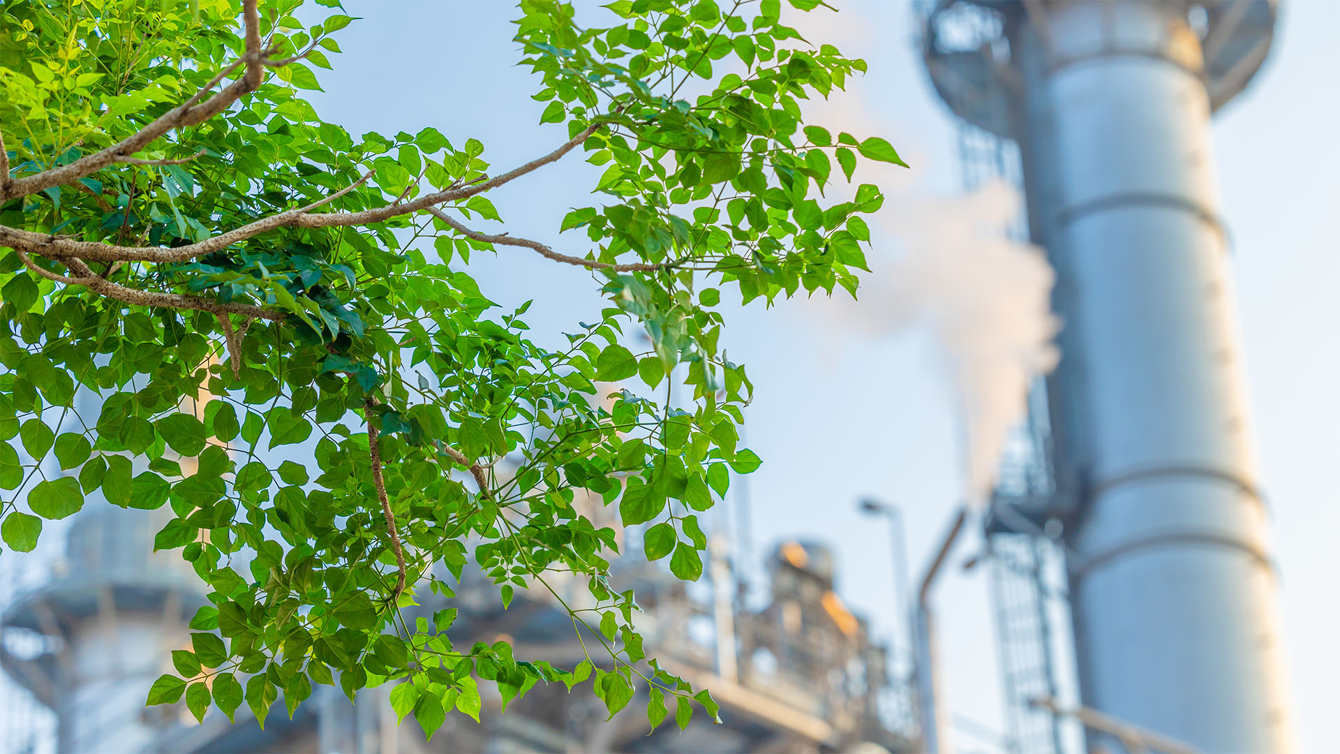 Entwicklung erfolgreicher CCUS-Projekte